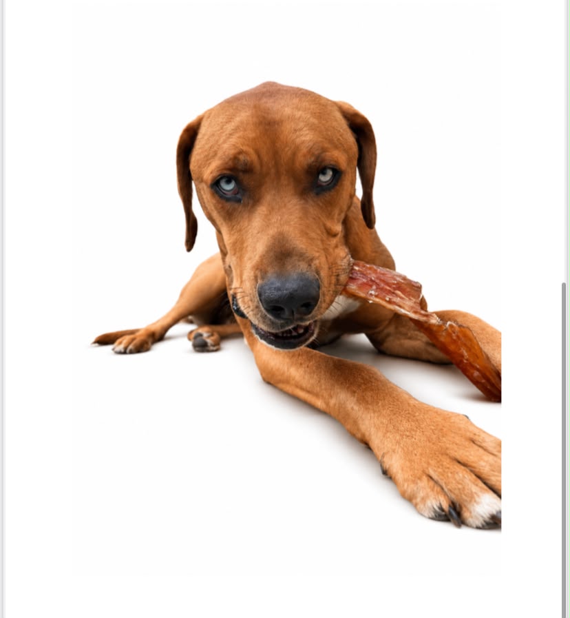Beef Tendons