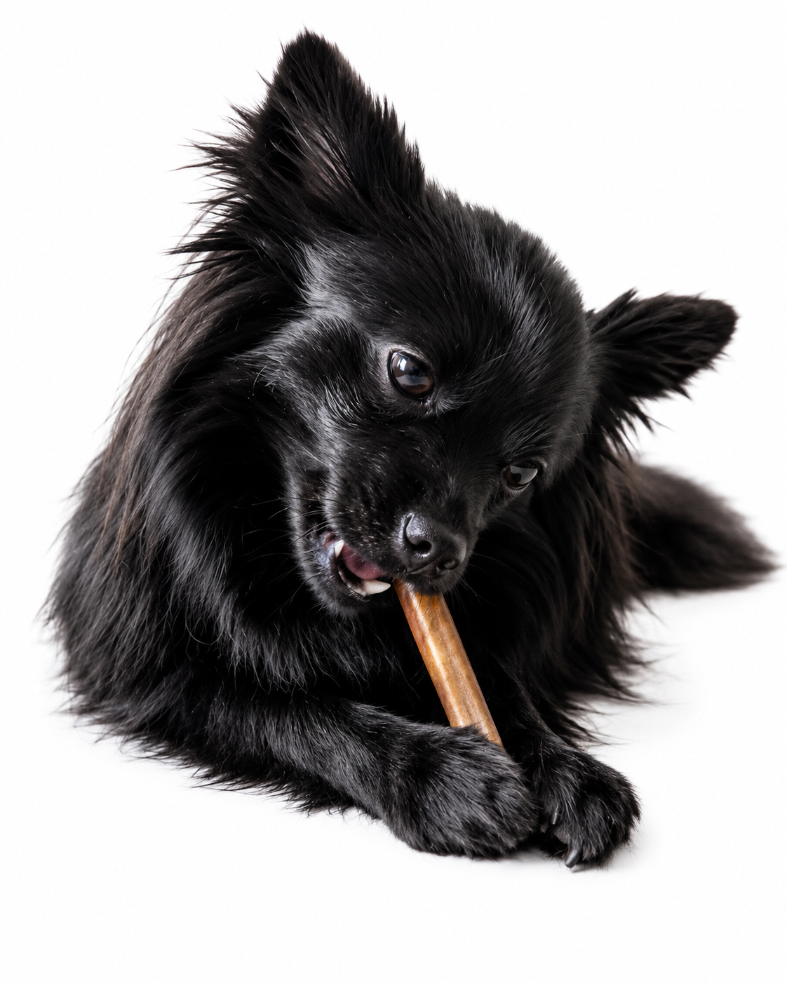 Beef Bully Stick 12 Cm