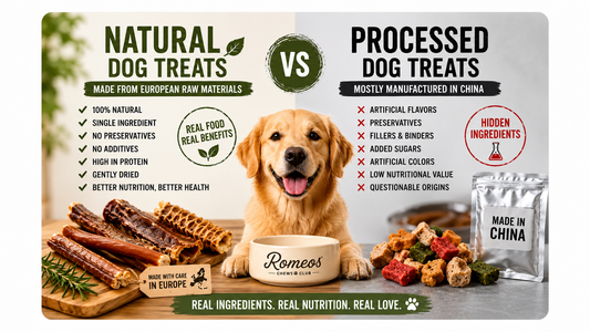 Natural Dog Treats vs Processed Treats: Why Ingredients Matter