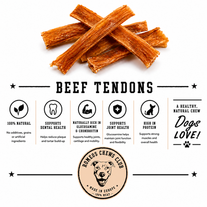 Beef Tendons