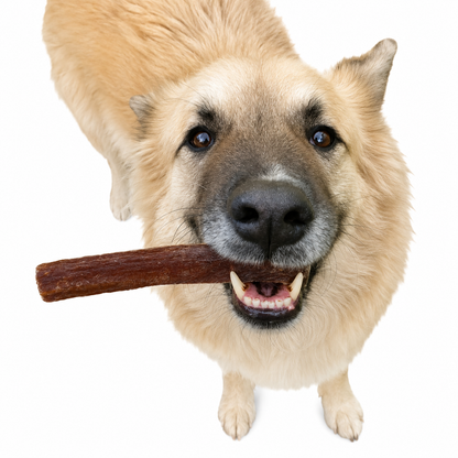 Beef Bully Stick Wrapped in Beef Esophagus 20 cm