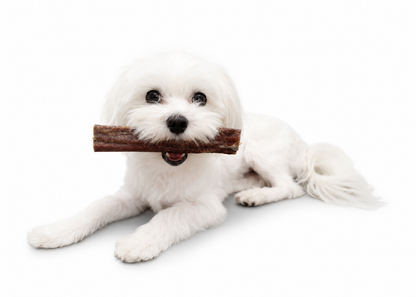 Beef Cigar 12 cm